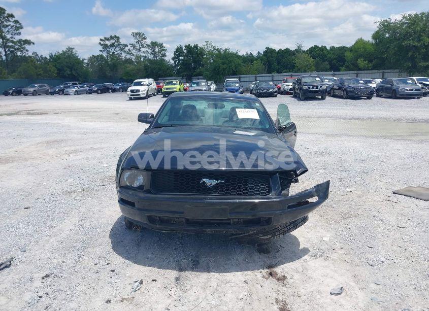 Photo 13 of 2006 Ford Mustang V6 (VIN 1ZVFT80N565150206)