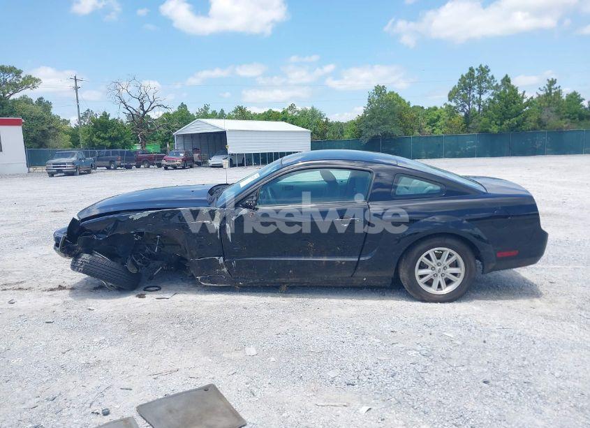 Photo 15 of 2006 Ford Mustang V6 (VIN 1ZVFT80N565150206)
