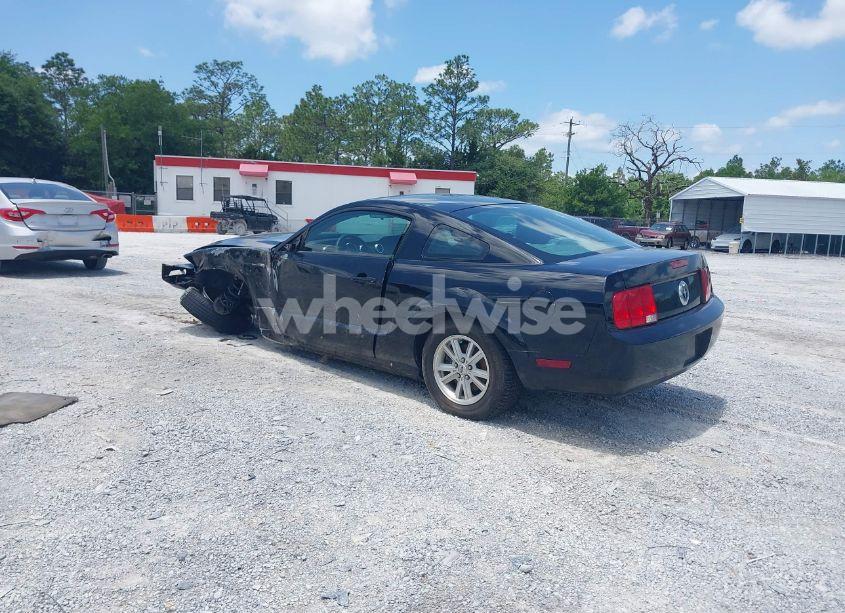 Photo 3 of 2006 Ford Mustang V6 (VIN 1ZVFT80N565150206)