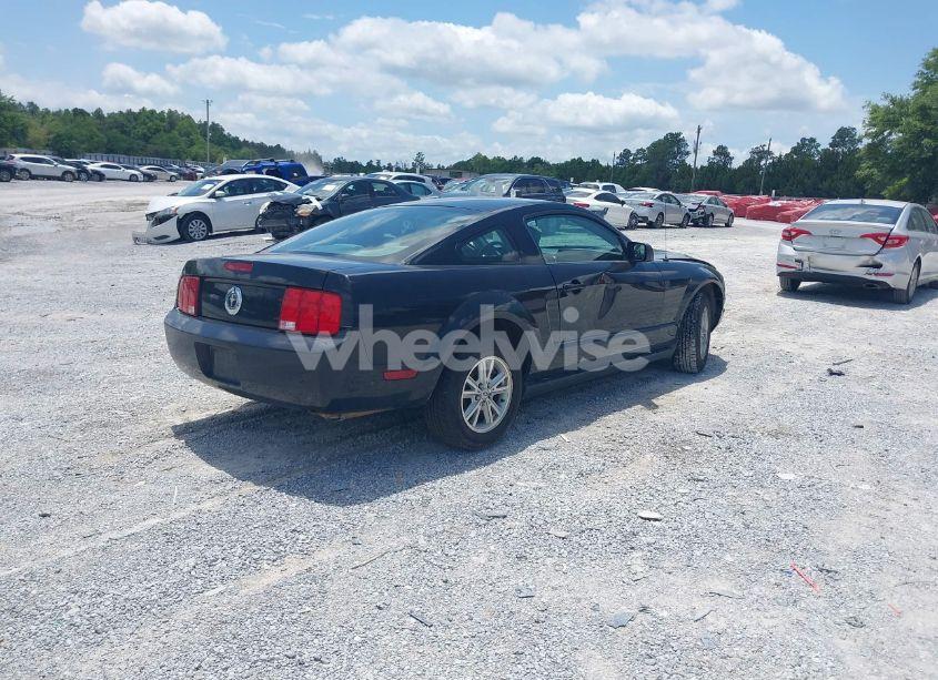 Photo 4 of 2006 Ford Mustang V6 (VIN 1ZVFT80N565150206)