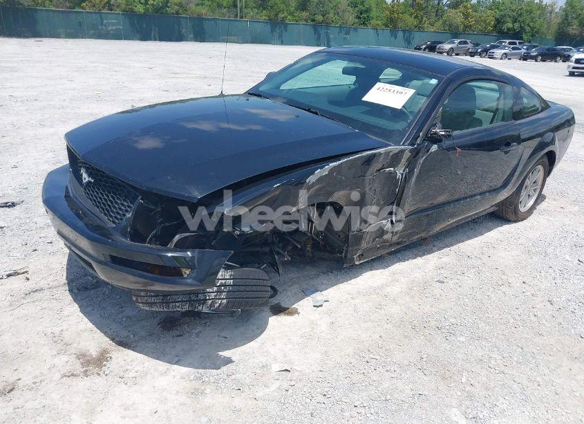 Photo 6 of 2006 Ford Mustang V6 (VIN 1ZVFT80N565150206)
