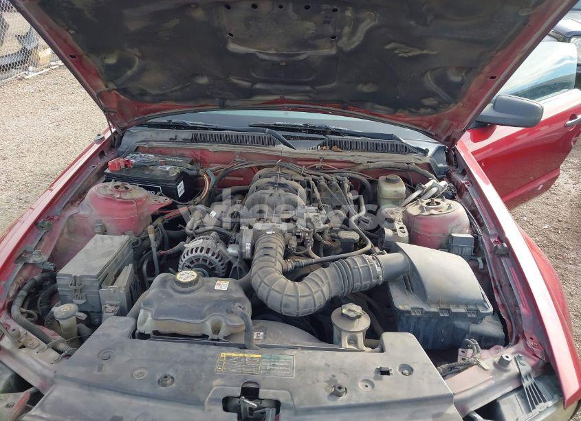 Photo 10 of 2006 Ford Mustang V6 (VIN 1ZVFT80N565232646)