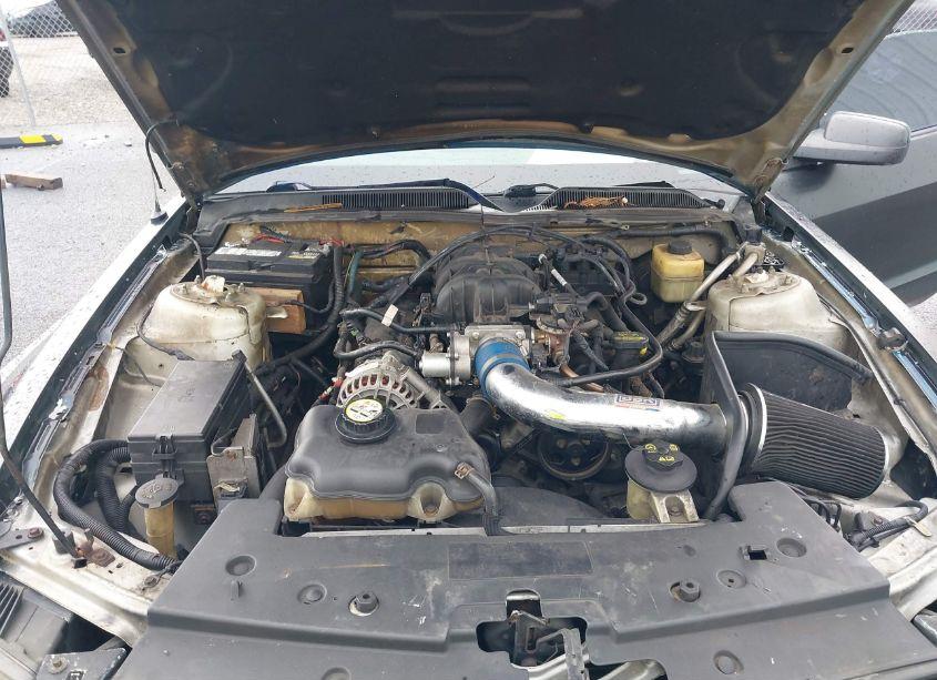 Photo 10 of 2007 Ford Mustang V6 DELUXE/V6 PREMIUM (VIN 1ZVFT80N575231871)