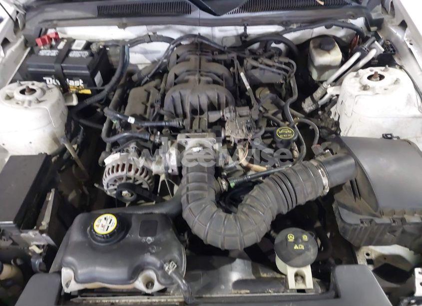 Photo 10 of 2007 Ford Mustang V6 DELUXE/V6 PREMIUM (VIN 1ZVFT80N575259508)