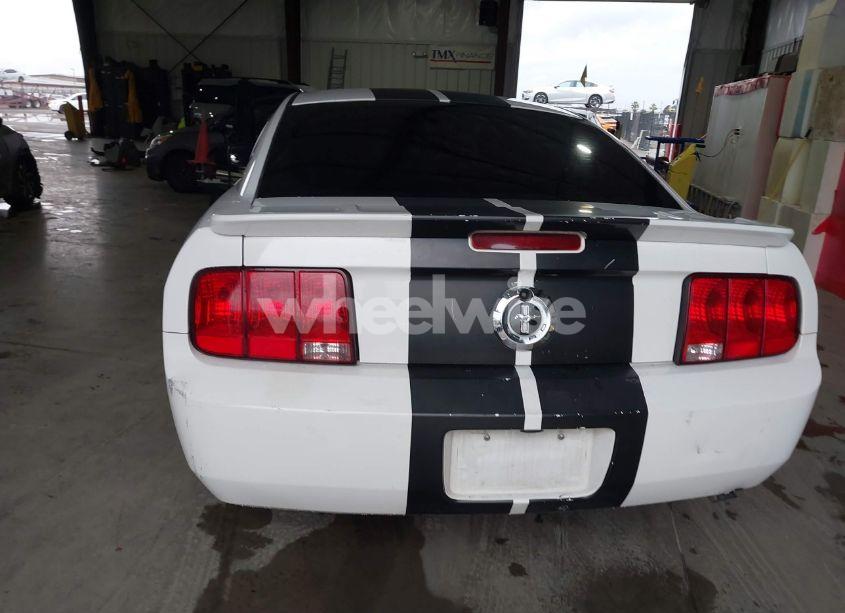 Photo 13 of 2007 Ford Mustang V6 DELUXE/V6 PREMIUM (VIN 1ZVFT80N575259508)