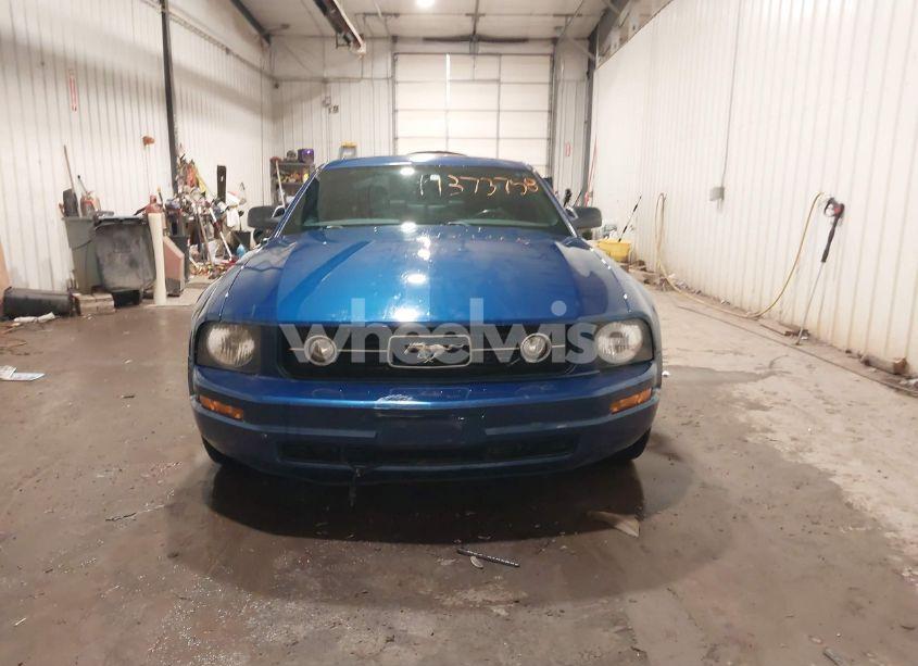 Photo 12 of 2007 Ford Mustang (VIN 1ZVFT80N575320680)