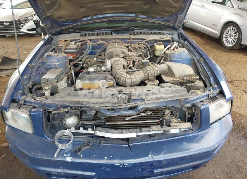 Photo 10 of 2007 Ford Mustang V6 DELUXE/V6 PREMIUM (VIN 1ZVFT80N575334160)