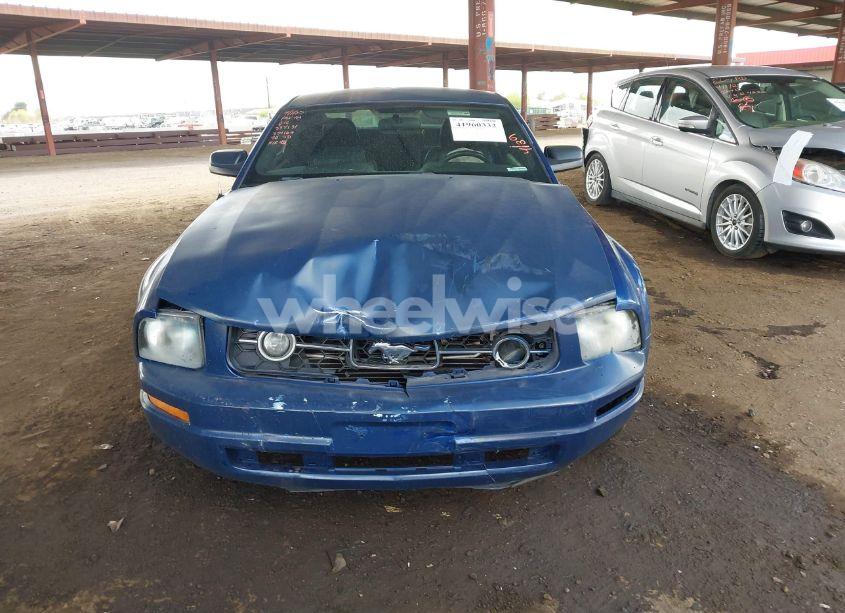 Photo 12 of 2007 Ford Mustang V6 DELUXE/V6 PREMIUM (VIN 1ZVFT80N575334160)