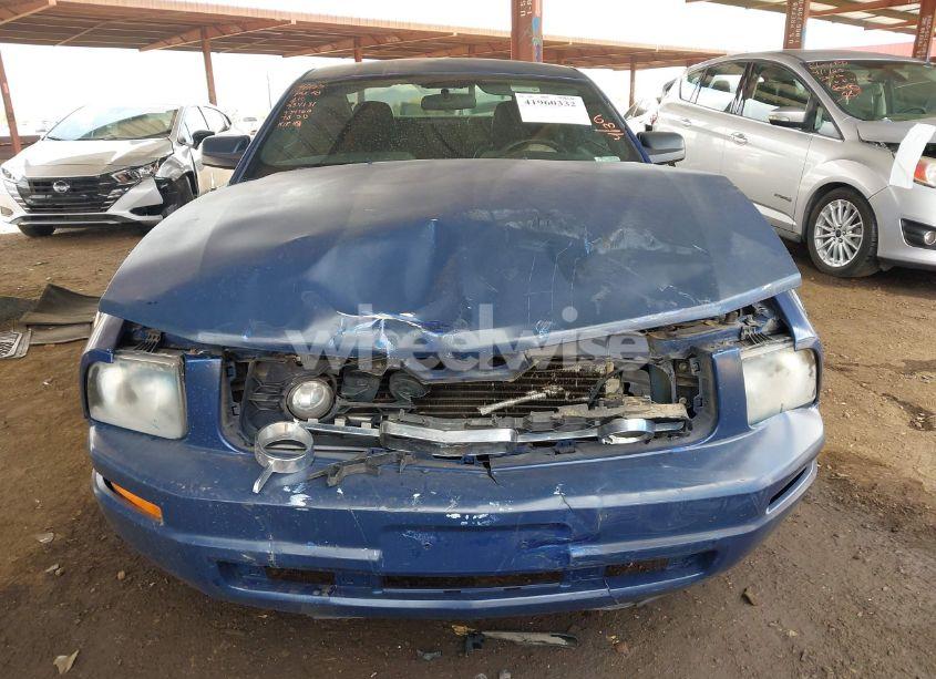 Photo 6 of 2007 Ford Mustang V6 DELUXE/V6 PREMIUM (VIN 1ZVFT80N575334160)