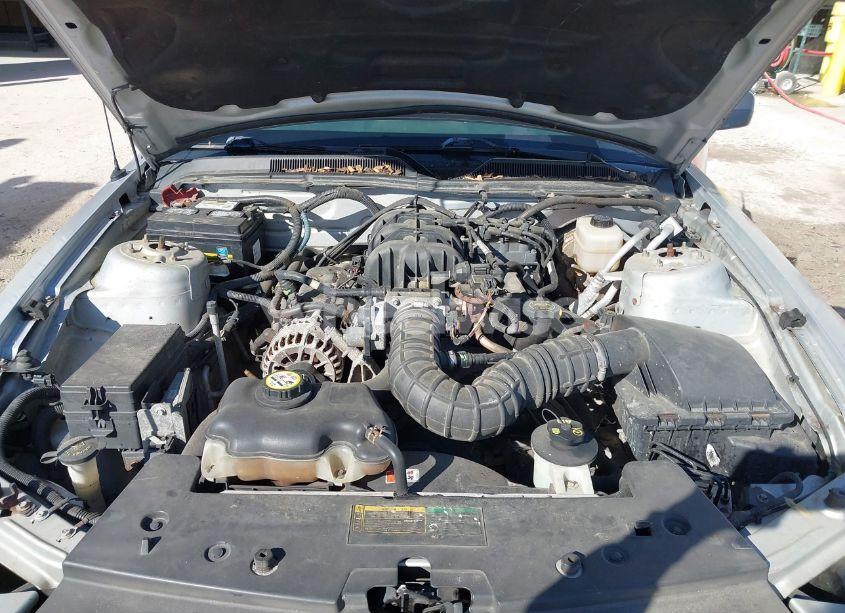 Photo 10 of 2007 Ford Mustang V6 DELUXE/V6 PREMIUM (VIN 1ZVFT80N575368356)