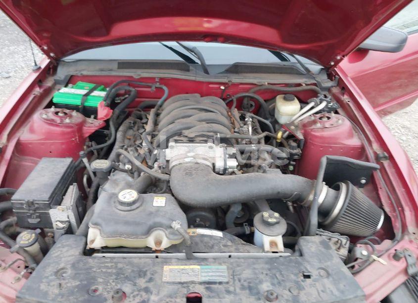 Photo 10 of 2005 Ford Mustang V6 DELUXE/V6 PREMIUM (VIN 1ZVFT80N655143957)