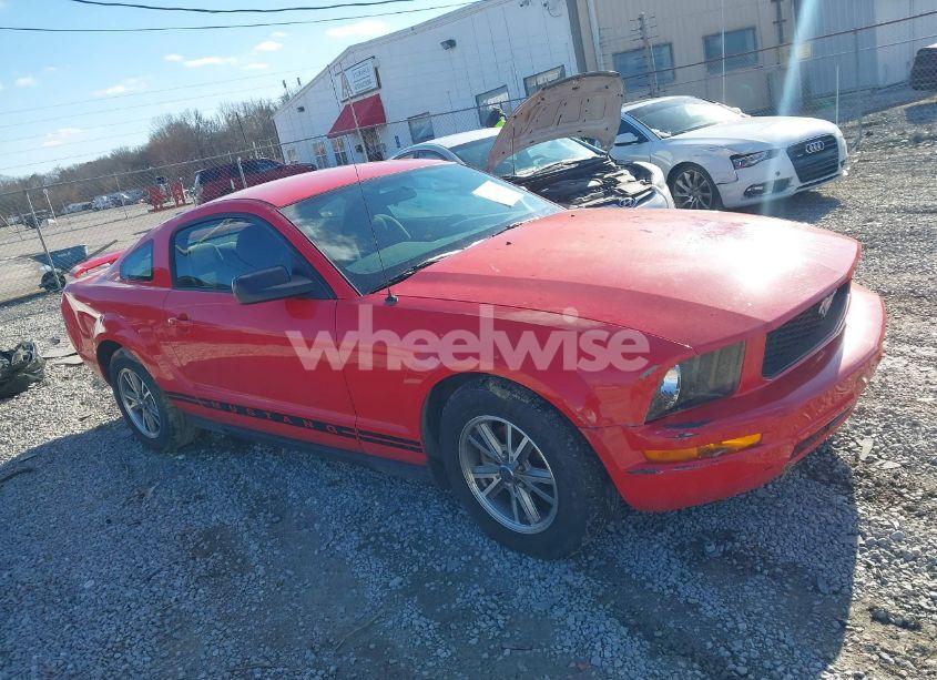 2005 Ford Mustang V6 DELUXE/V6 PREMIUM (VIN 1ZVFT80N655144817) main photo