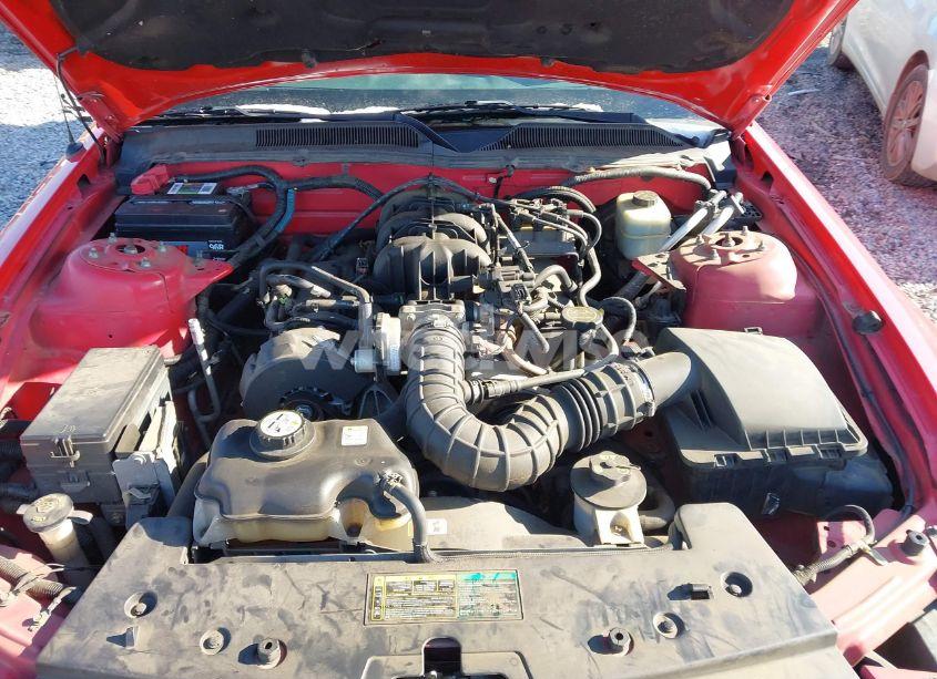 Photo 10 of 2005 Ford Mustang V6 DELUXE/V6 PREMIUM (VIN 1ZVFT80N655144817)