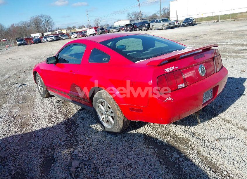 Photo 3 of 2005 Ford Mustang V6 DELUXE/V6 PREMIUM (VIN 1ZVFT80N655144817)