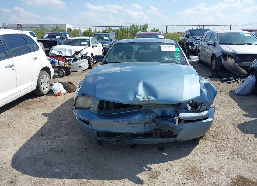 Photo 12 of 2005 Ford Mustang V6 DELUXE/V6 PREMIUM (VIN 1ZVFT80N655162024)