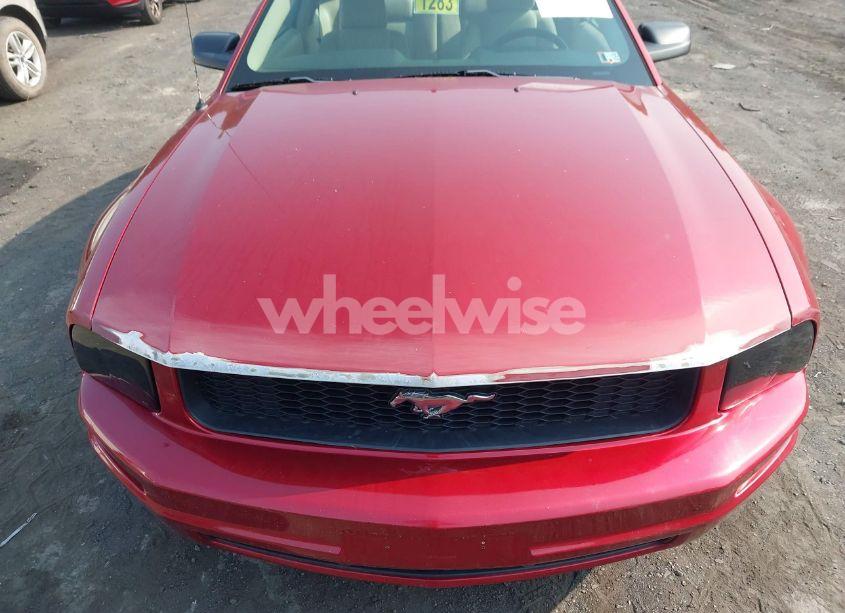 Photo 12 of 2005 Ford Mustang V6 DELUXE/V6 PREMIUM (VIN 1ZVFT80N655177798)