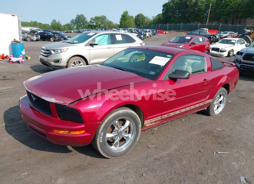 Photo 2 of 2005 Ford Mustang V6 DELUXE/V6 PREMIUM (VIN 1ZVFT80N655177798)