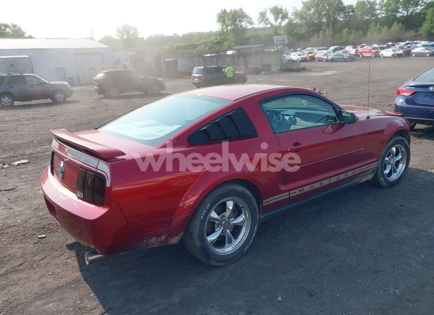 Photo 4 of 2005 Ford Mustang V6 DELUXE/V6 PREMIUM (VIN 1ZVFT80N655177798)