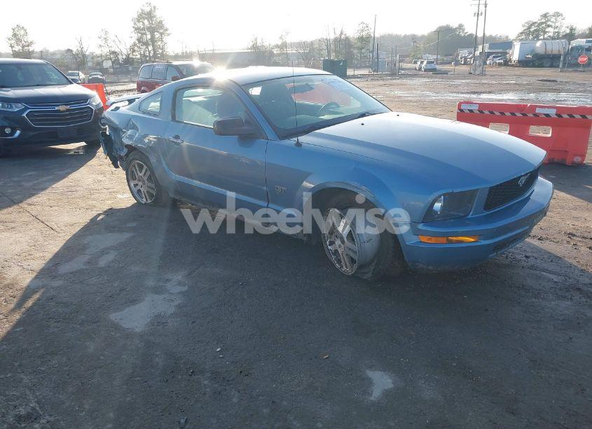 2005 Ford Mustang V6 DELUXE/V6 PREMIUM (VIN 1ZVFT80N655257599) main photo