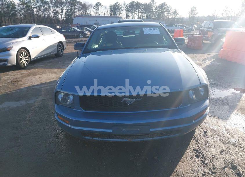Photo 12 of 2005 Ford Mustang V6 DELUXE/V6 PREMIUM (VIN 1ZVFT80N655257599)