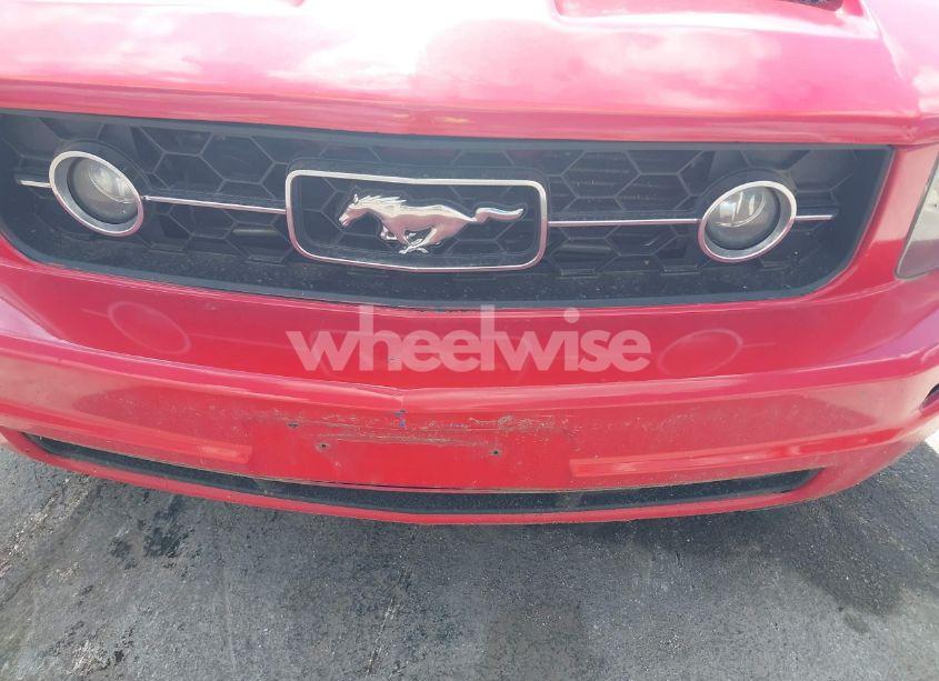 Photo 6 of 2006 Ford Mustang V6 (VIN 1ZVFT80N665191086)
