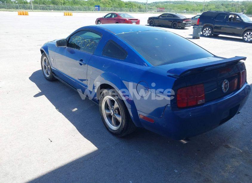 Photo 3 of 2006 Ford Mustang V6 (VIN 1ZVFT80N665227861)