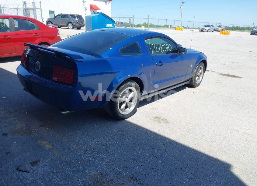 Photo 4 of 2006 Ford Mustang V6 (VIN 1ZVFT80N665227861)