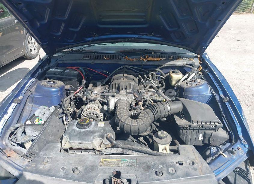Photo 10 of 2007 Ford Mustang V6 DELUXE/V6 PREMIUM (VIN 1ZVFT80N675254365)