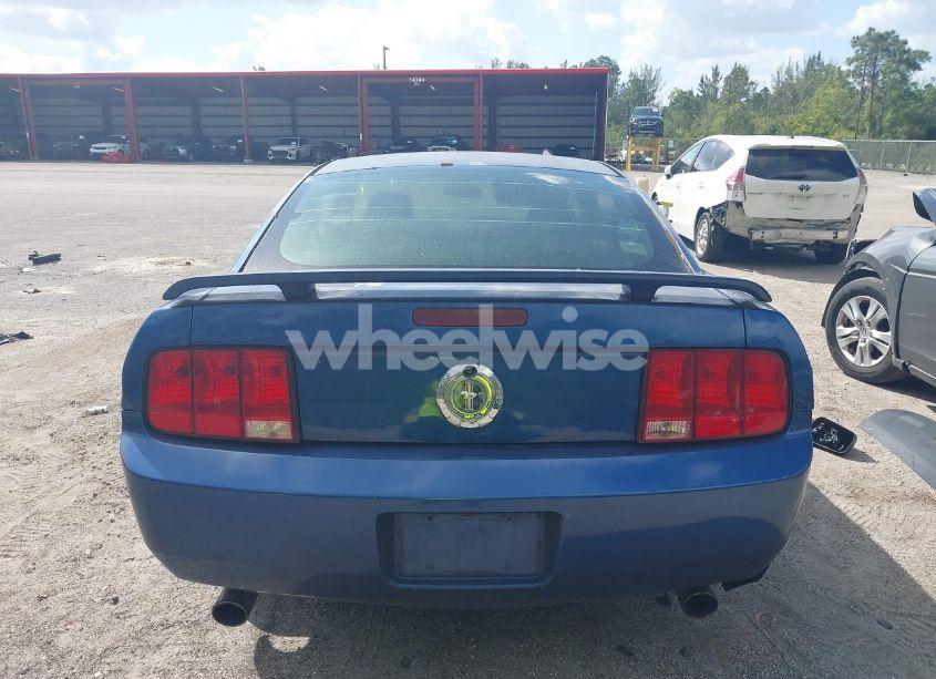 Photo 15 of 2007 Ford Mustang V6 DELUXE/V6 PREMIUM (VIN 1ZVFT80N675254365)