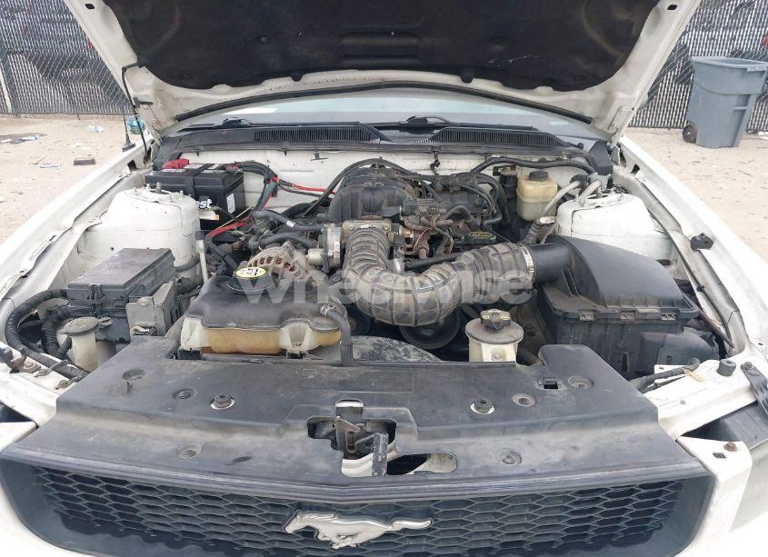 Photo 10 of 2007 Ford Mustang V6 DELUXE/V6 PREMIUM (VIN 1ZVFT80N675258268)