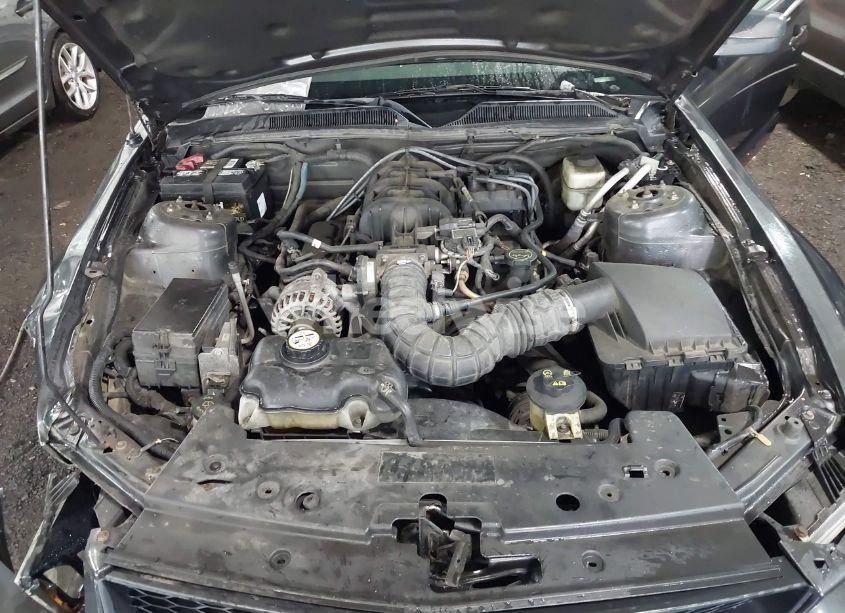 Photo 10 of 2007 Ford Mustang V6 DELUXE/V6 PREMIUM (VIN 1ZVFT80N675266693)