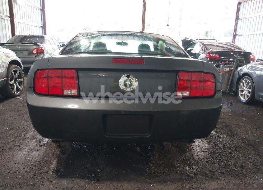 Photo 17 of 2007 Ford Mustang V6 DELUXE/V6 PREMIUM (VIN 1ZVFT80N675266693)