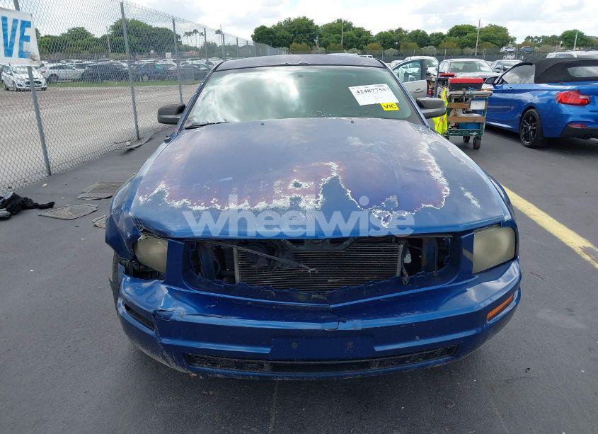 Photo 13 of 2007 Ford Mustang V6 DELUXE/V6 PREMIUM (VIN 1ZVFT80N675281601)