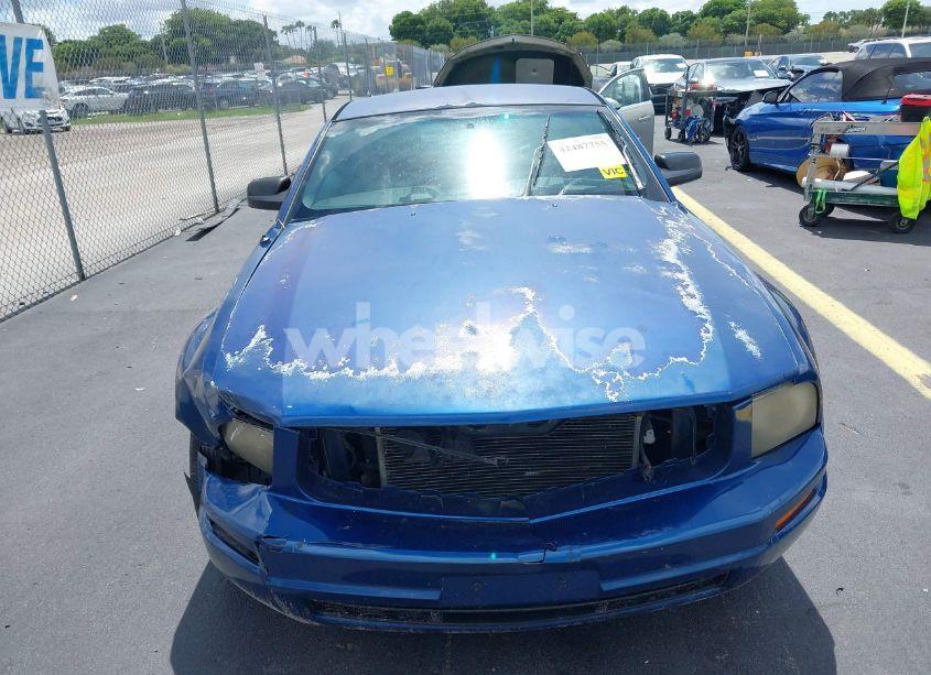 Photo 6 of 2007 Ford Mustang V6 DELUXE/V6 PREMIUM (VIN 1ZVFT80N675281601)