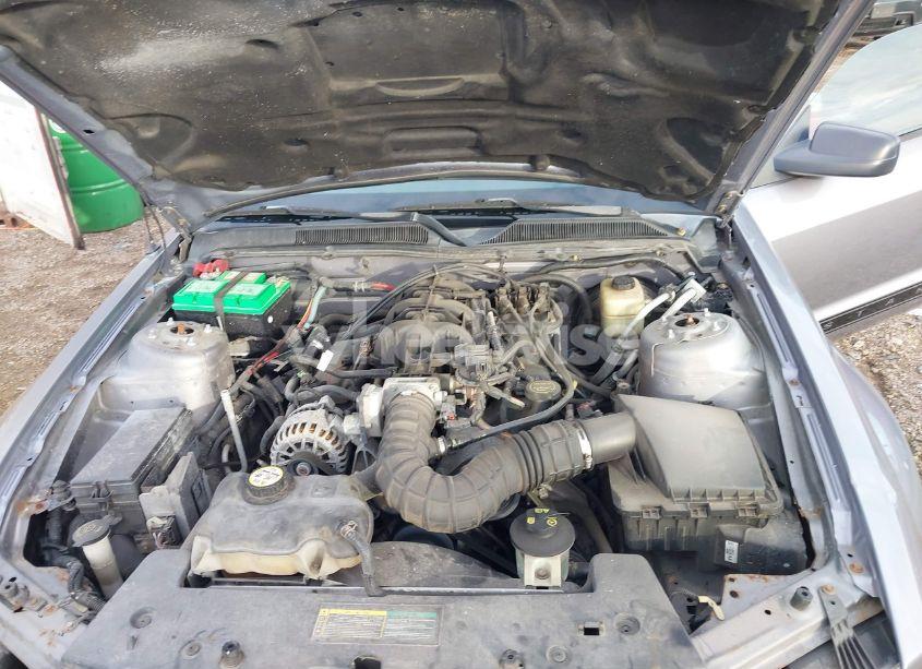 Photo 10 of 2007 Ford Mustang V6 DELUXE/V6 PREMIUM (VIN 1ZVFT80N675288936)