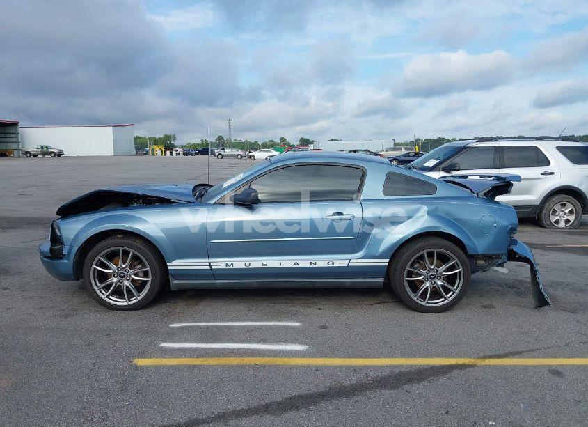 Photo 14 of 2007 Ford Mustang V6 DELUXE/V6 PREMIUM (VIN 1ZVFT80N675294588)