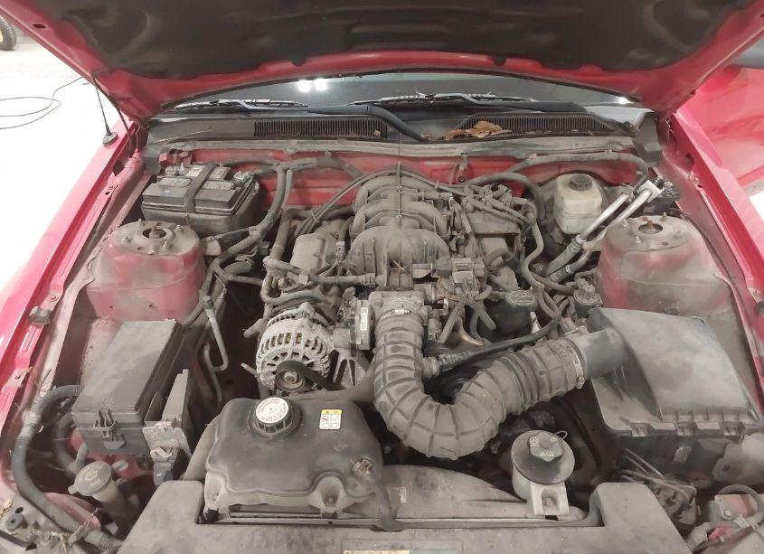 Photo 10 of 2007 Ford Mustang V6 DELUXE/V6 PREMIUM (VIN 1ZVFT80N675337052)