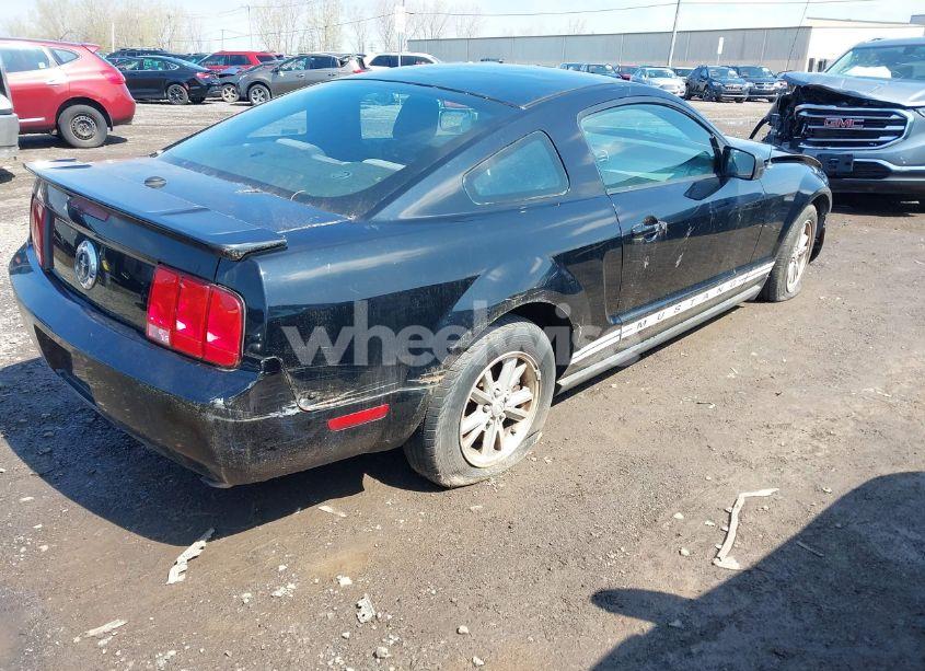Photo 4 of 2007 Ford Mustang V6 DELUXE/V6 PREMIUM (VIN 1ZVFT80N675361920)