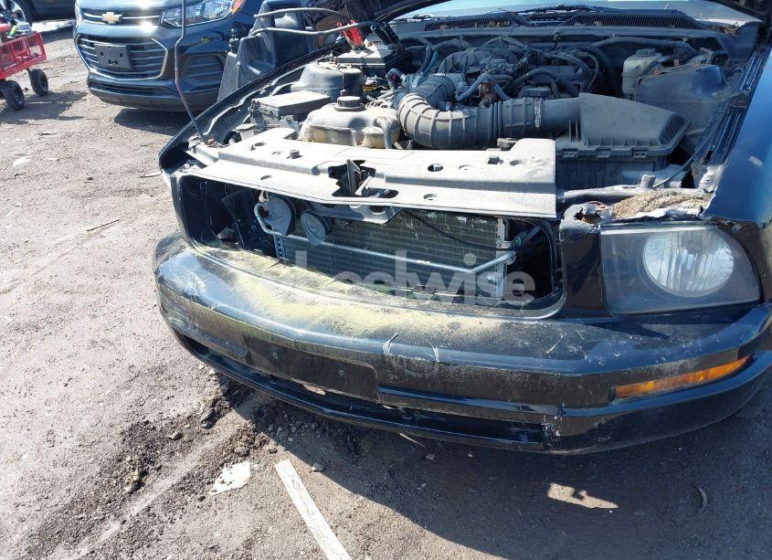 Photo 6 of 2007 Ford Mustang V6 DELUXE/V6 PREMIUM (VIN 1ZVFT80N675361920)