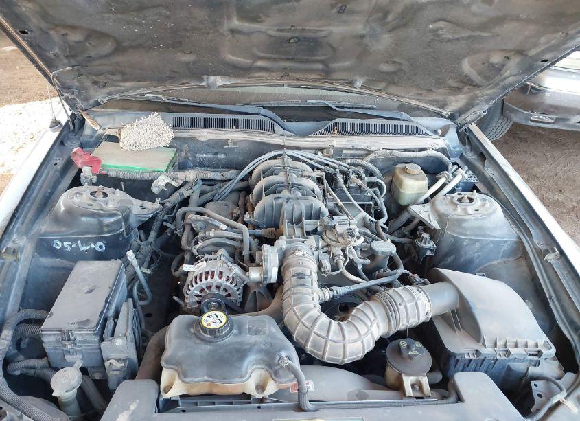 Photo 10 of 2005 Ford Mustang V6 DELUXE/V6 PREMIUM (VIN 1ZVFT80N755115388)