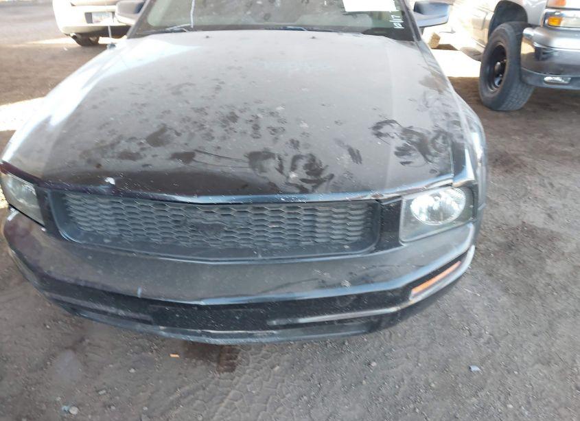 Photo 6 of 2005 Ford Mustang V6 DELUXE/V6 PREMIUM (VIN 1ZVFT80N755115388)