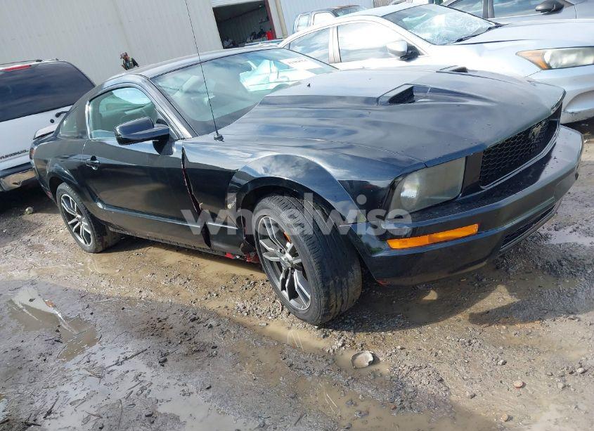 2005 Ford Mustang V6 DELUXE/V6 PREMIUM (VIN 1ZVFT80N755128416) main photo
