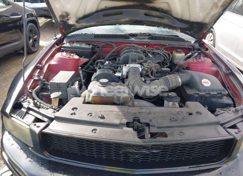 Photo 10 of 2005 Ford Mustang V6 DELUXE/V6 PREMIUM (VIN 1ZVFT80N755128416)