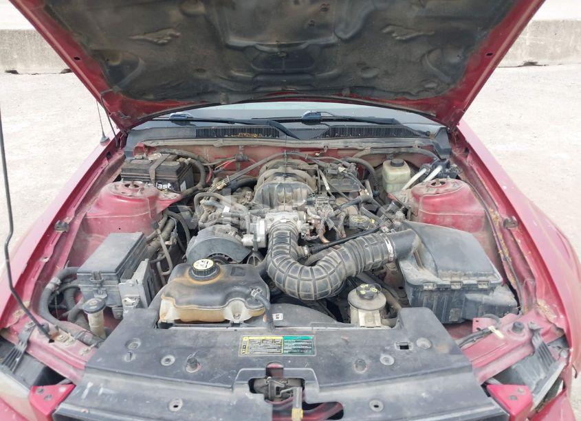 Photo 10 of 2005 Ford Mustang V6 DELUXE/V6 PREMIUM (VIN 1ZVFT80N755228032)