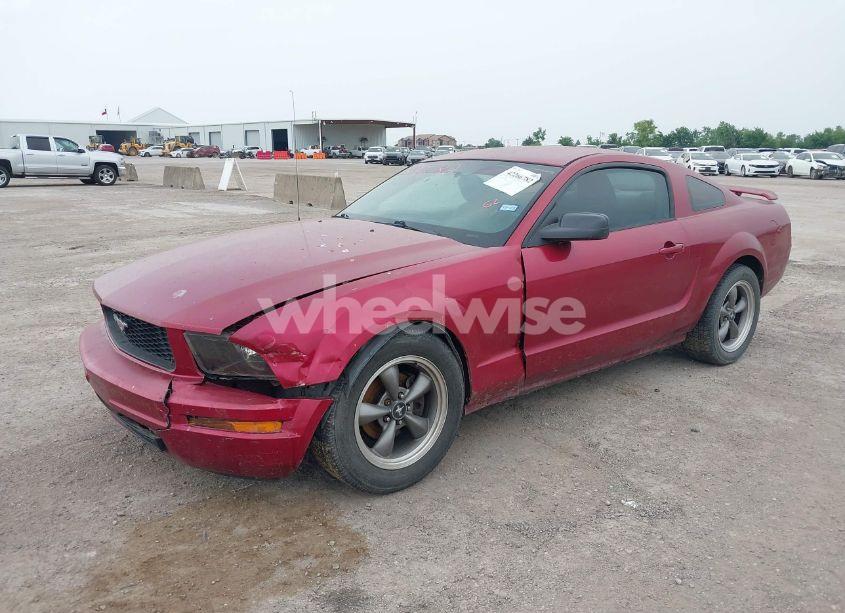 Photo 6 of 2005 Ford Mustang V6 DELUXE/V6 PREMIUM (VIN 1ZVFT80N755228032)