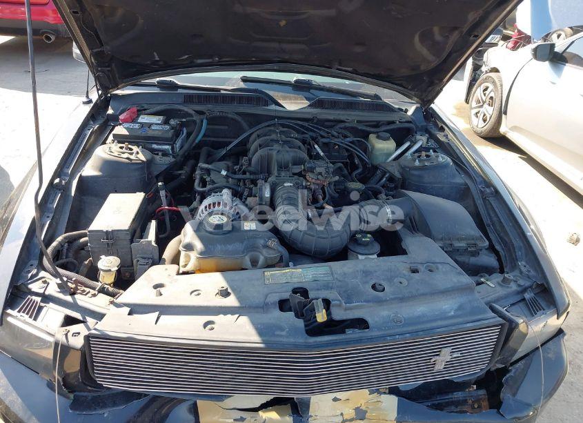 Photo 10 of 2006 Ford Mustang V6 (VIN 1ZVFT80N765126974)