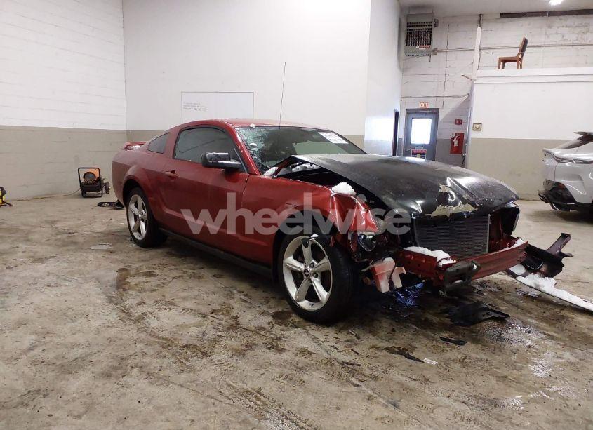 2006 Ford Mustang V6 (VIN 1ZVFT80N765191324) main photo