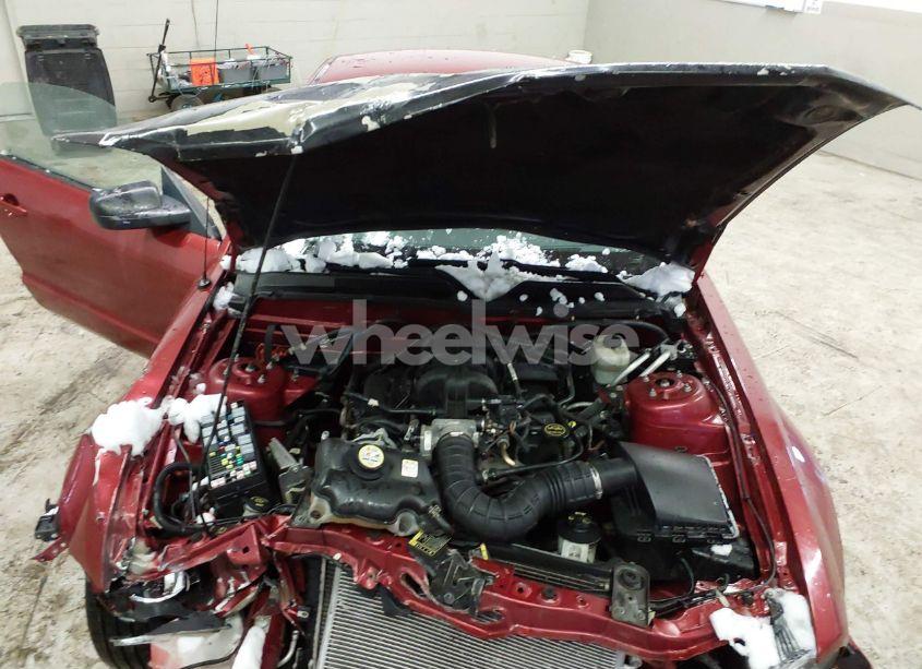 Photo 10 of 2006 Ford Mustang V6 (VIN 1ZVFT80N765191324)