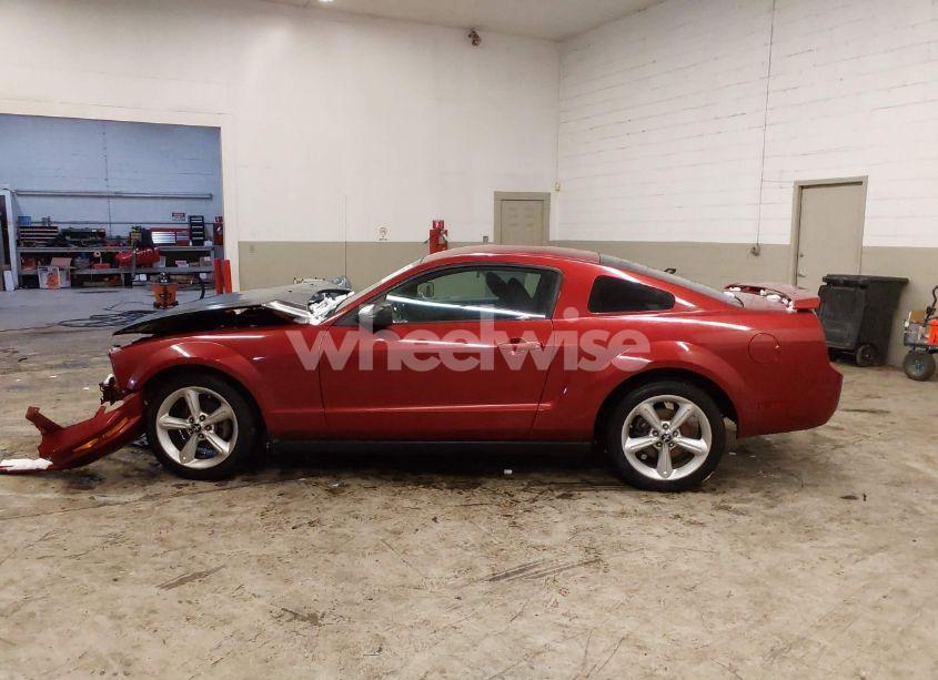 Photo 15 of 2006 Ford Mustang V6 (VIN 1ZVFT80N765191324)