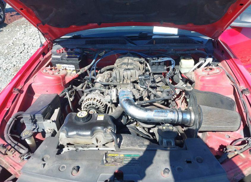 Photo 10 of 2006 Ford Mustang V6 (VIN 1ZVFT80N765220966)